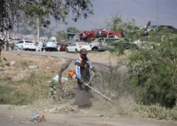 Gobierno de Morelia atiende con limpieza integral la Avenida Miguel Hidalgo y Oriente 6