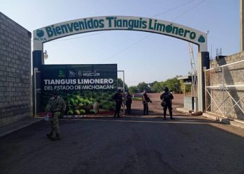 Tras cerrar  6 empresas limoneras, implementan Operativo en Apatzingán y Buenavista para supuesta seguridad del sector citrícola