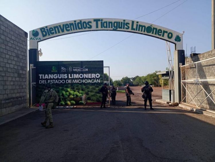 Tras cerrar  6 empresas limoneras, implementan Operativo en Apatzingán y Buenavista para supuesta seguridad del sector citrícola