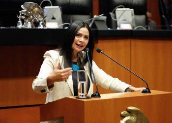 Digitalización de servicios gubernamentales beneficiará a millones de mexicanos: Araceli Saucedo