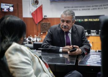 Con reforma para que Jóvenes Construyendo el Futuro sea constitucional, se garantiza su capacitación para el trabajo: Morón