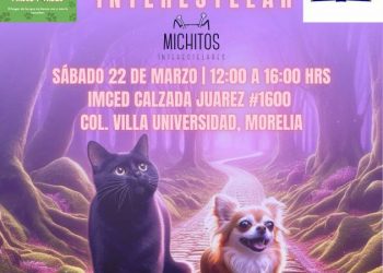 Esté sábado feria de adopción interestelar: peludos en busca de un hogar lleno de amor