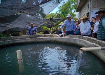 Gobierno de Alfonso Martínez apoya producción piscícola en las tenencias