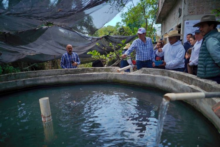 Gobierno de Alfonso Martínez apoya producción piscícola en las tenencias