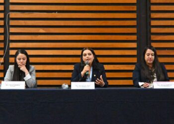 Unidad y sororidad, el camino de las mujeres por la conquista de derechos: diputada Tere Herrera