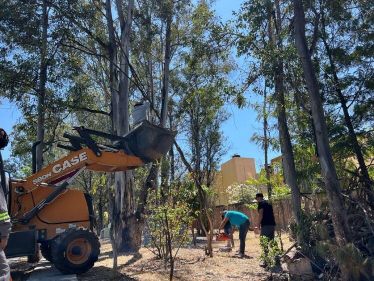 Gobierno de Morelia refuerza acciones de limpieza en espacios públicos