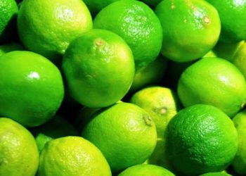 Por inseguridad, cierran cinco empacadoras de limón en Apatzingán