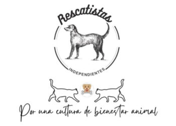 20 asociaciones protectoras de animales alzan la voz, Paracho en el top ten de crueldad animal