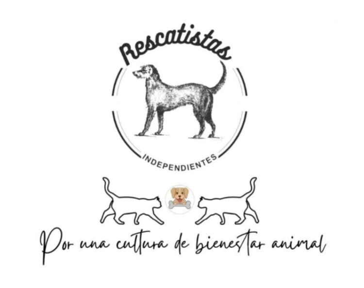 20 asociaciones protectoras de animales alzan la voz, Paracho en el top ten de crueldad animal