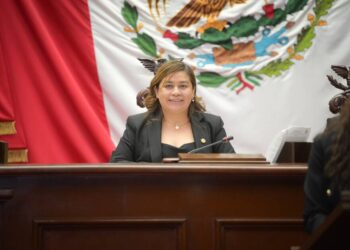 Preocupantes las agresiones en el país a los médicos veterinarios: Belinda Iturbide