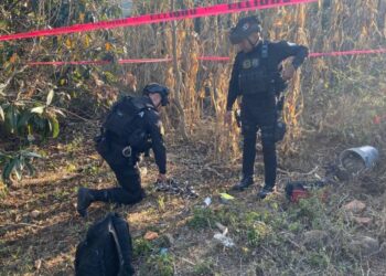 Durante marzo en Michoacán: militares, guardias civiles, nacionales, sicarios, mujeres, los abatidos en la narco – guerra