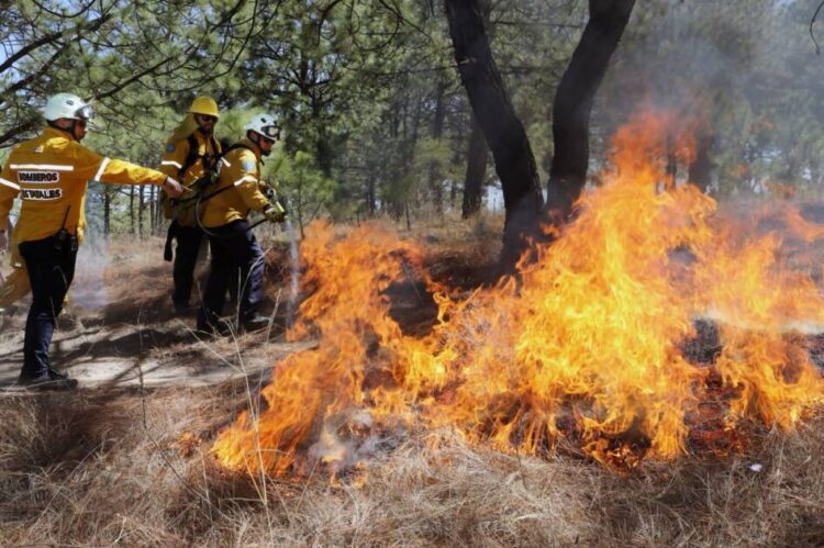 Después de 24 horas bajo el fuego, los bosques de Cojumatlán están a salvo, asegura (Cofom)