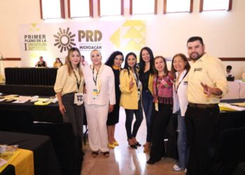 Con nueva dirigencia estatal del PRDM se logrará fortalecer al instuto político y crecerá del lado del pueblo: Araceli Saucedo