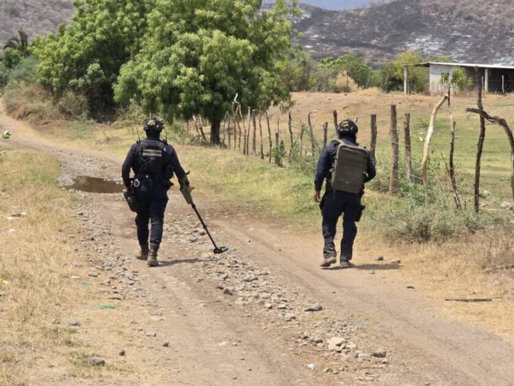Nuevo enfrentamiento en El Capire de Apatzingán, se aseguraron fusiles y artefacto explosivo