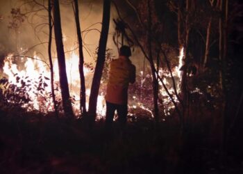 Controlado el incendio de un pastizal al sur de Morelia