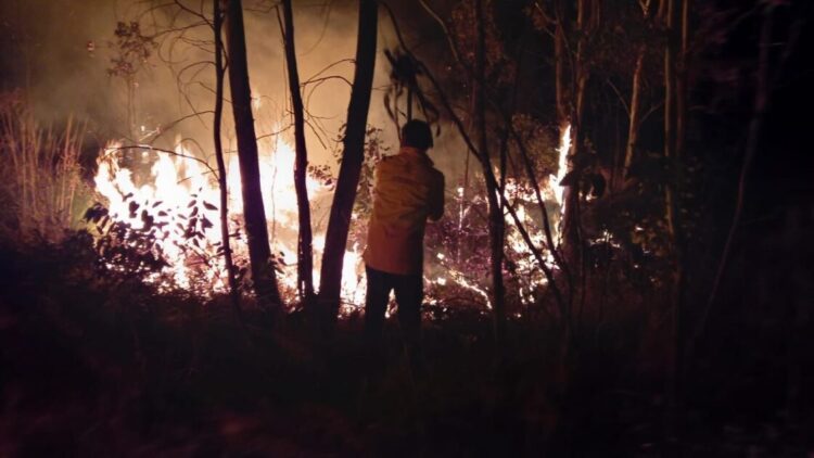 Controlado el incendio de un pastizal al sur de Morelia