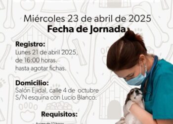 Esterilizar para no abandonar: Hermano Animal lanza jornada gratuita en La Mintzita