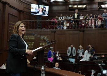 La delincuencia no tiene cabida en la elección judicial: Fabiola Alanís