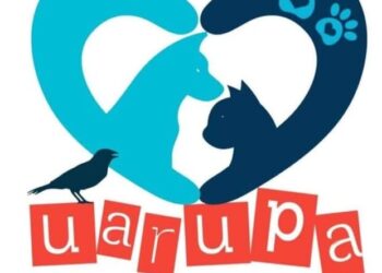 Hombre asesina a balazos a perro callejero en Uruapan