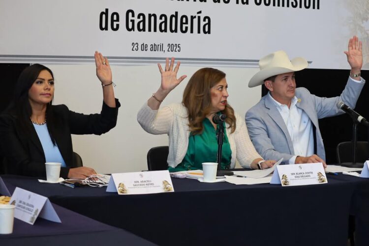 Senado garantiza justicia para mujeres ganaderas en México: Araceli Saucedo