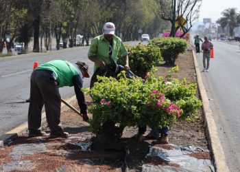 Gobierno de Morelia sigue embelleciendo las áreas verdes de la ciudad