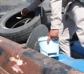 Invitan a la población a combatir el mosco Aedes Aegypti, transmisor del dengue, zika y chikungunya