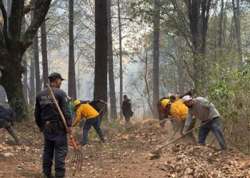 Incendio forestal en Senguio, amenaza la biósfera de la mariposa Monarca