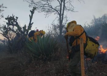 En llamas los bosques michoacanos; hoy, brigadistas atienden 7 incendios y liquidan 2