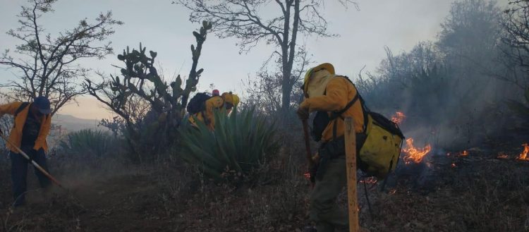 En llamas los bosques michoacanos; hoy, brigadistas atienden 7 incendios y liquidan 2
