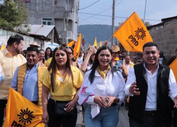 PRD se fortalece en estos 36 años de lucha: Araceli Saucedo