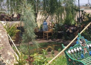 El Gobierno de Morelia fortalece los espacios verdes de la ciudad