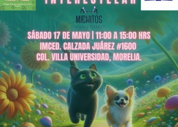 Michoacanos buscados por michis y lomitos: se acerca la feria de adopción interestelar