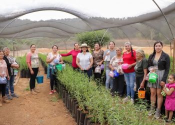 Brinda Alma Mireya González un reconocimiento, con cariño y gratitud a madres de Icuácato