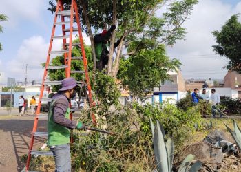 Gobierno de Morelia implementa jornada de limpieza y manteniendo en Parque Lineal Bicentenario