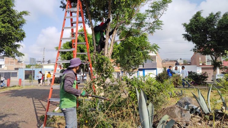 Gobierno de Morelia implementa jornada de limpieza y manteniendo en Parque Lineal Bicentenario