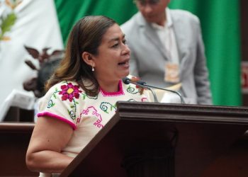 Propone Belinda Iturbide reforma a la Ley de Salud
