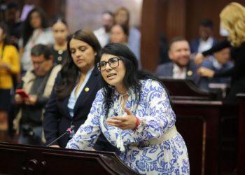 En riesgo, libertad de expresión por apología del delito: Vanhe Caratachea