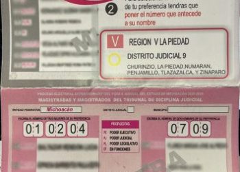 Arrancó la jornada de elección de Jueces y Magistrados y el FISEL tiene 95 carpetas de denuncias