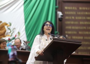 Vanhe Caratachea presenta iniciativa para garantizar derechos de la niñez migrante en Michoacán