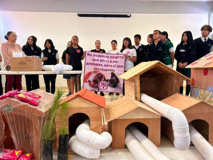 Estudiantes del Conalep crean proyecto solidario para animales en situación de calle