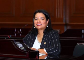 Propone diputada Érendira Isauro sancionar usurpación de identidad de género en candidaturas