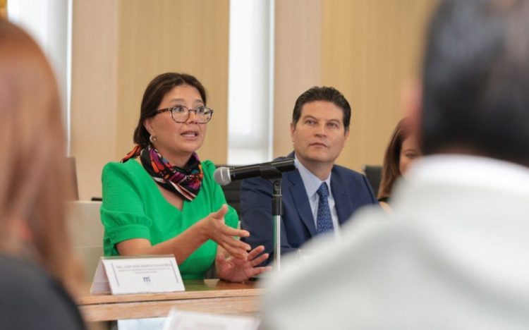 Alfonso Martínez, amigo de la causa migrante: Senadora por Illinois, Karina Villa*