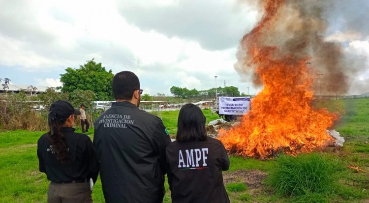 Incinera FGR más de media tonelada de droga decomisada en Michoacán