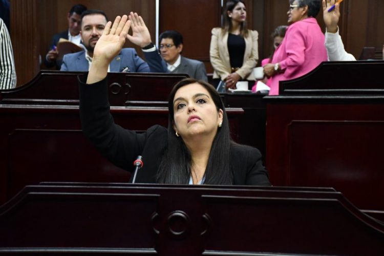 No permitiremos que se utilice la paridad de género como herramienta política: diputada Tere Herrera