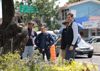 Gobierno de Morelia continúa construyendo espacios seguros con programa de Poda Sanitaria