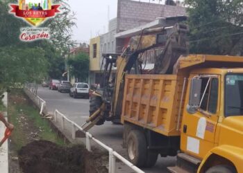 Ayuntamiento de Los Reyes refuerza limpieza de zanjas y colectores pluviales para prevenir inundaciones