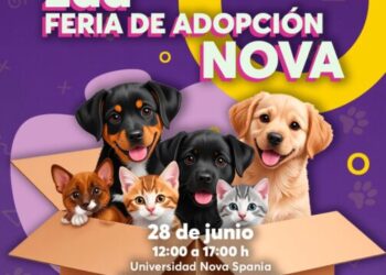 Invitan a segunda feria de adopción y venta con causa este sábado en el Centro de Morelia