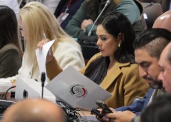 Avanza en comisiones reforma para fortalecer la búsqueda de personas desaparecidas: Araceli Saucedo