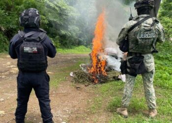 En el “Ranchito”, de Tuzantla, localizan y destruyen 16 costales con marihuana