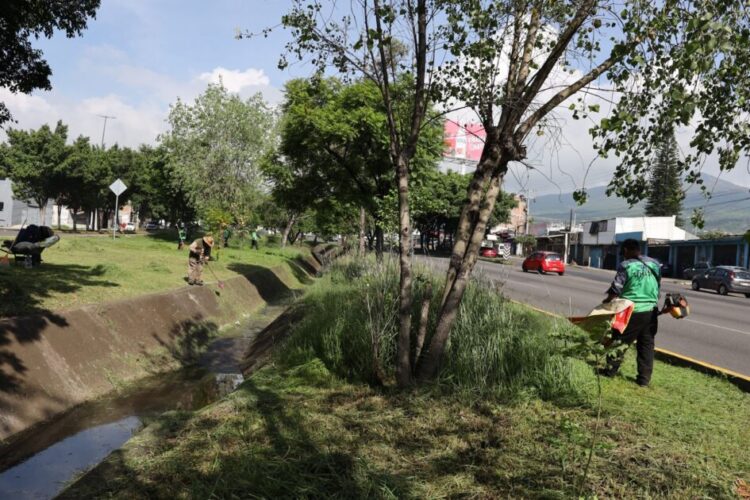 Brigadas del Gobierno de Morelia intervienen Libramiento Paseo de la República